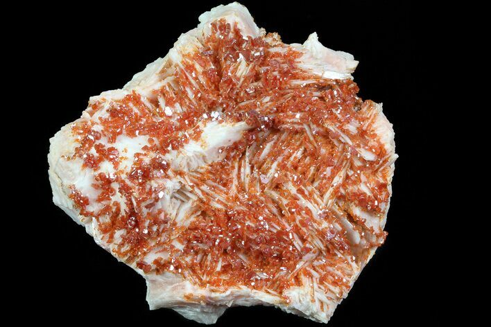 Ruby Red Vanadinite Crystals on Pink Barite - Morocco #82377